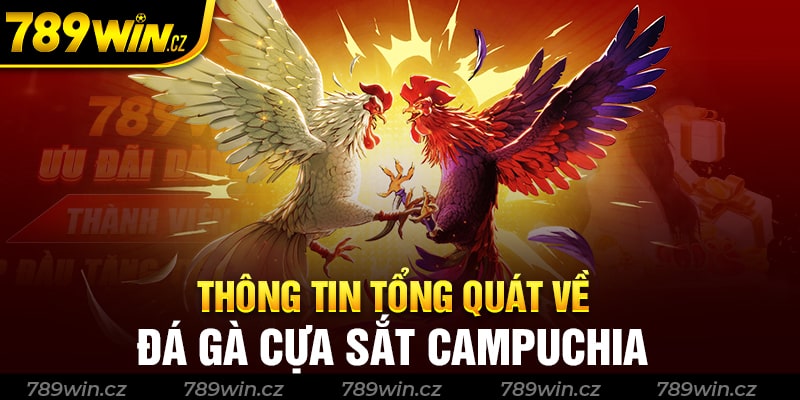 Đá gà cựa sắt Campuchia là gì? Và những thông tin chi tiết