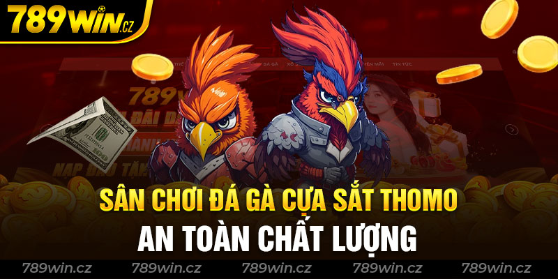 Sân chơi đá gà cựa sắt thomo an toàn và chất lượng 