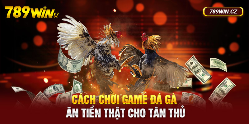 Cách chơi game đá gà đổi tiền trực tuyến cho tân thủ