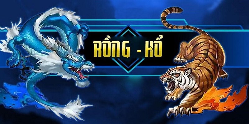 Luật chơi rồng hổ cơ bản mà người chơi nên rỏ