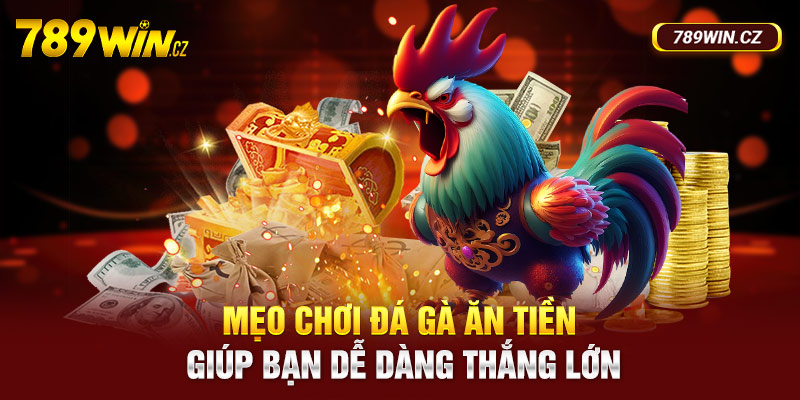 Mẹo chơi game đá gà trực tuyến hiệu quả cho tân thủ