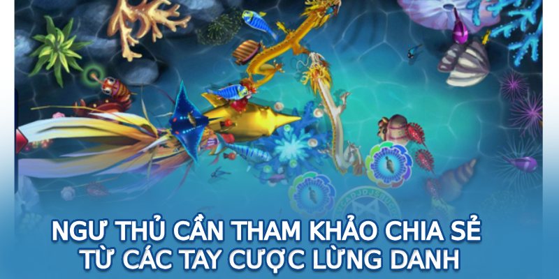 Ngư thủ cần tham khảo chia sẻ từ các tay cược lừng danh